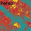 CaryPerez